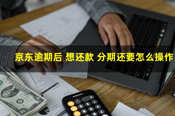 京东逾期后 想还款 分期还要怎么操作